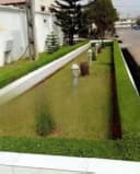 Royale Landscape&Floral Ltd