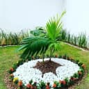 Joseph Flowers/Garden Ideas