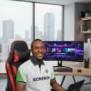 Sonerin Business Empire