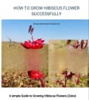 Agrostable Import & Export Ltd